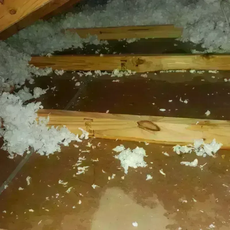 Attic Water Damage in City of Fredericksburg, VA